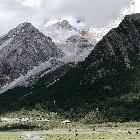 宇智波人问失格tyn