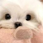 廣州TTG佳心