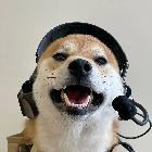楠盼兒