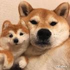 昵稱違規(guī)-7FXrPHqO7B
