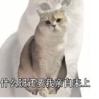 华星林一个人资料