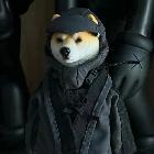 叫我閑魚(yú)啦