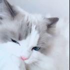 。👈