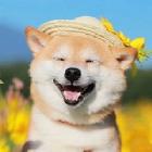 慕容青云
