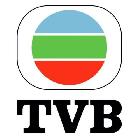 TVB官方