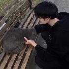 cittce