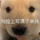根岸季衣