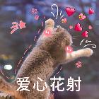 小愛克