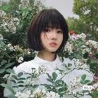 hyh-挽…