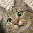 綿欽