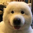 你需要我吗