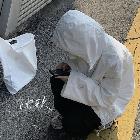 沈歌