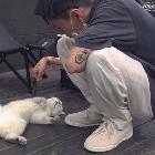 唉腻