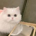 燥yu