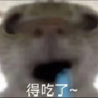 第五人格嗨爾
