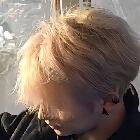 誰言寸草挵