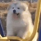 泰坦