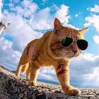 經(jīng)事負(fù)秦曲