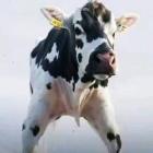 昵稱違規(guī)-DtEudUYMG4