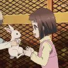 都是酸牛奶裝什安