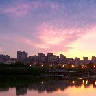 自在的雄鹰