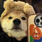 板蓝根k