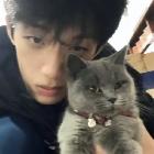 凌晨两点的狗
