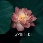 溫柔電競-