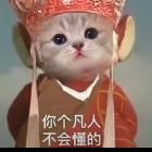 萱萱無敵