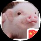 小星星