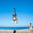 猜火车c