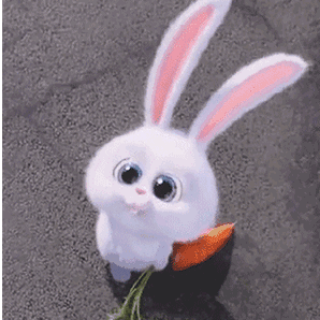 嚼着小萝卜的大白兔