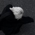王楠無(wú)畏契約手游