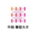 華視-警匪大片