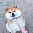 弥心-