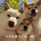 LokLo…