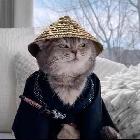 ks逗逗【巔峰第一鏡】