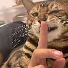 余情未了