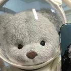 二楊-