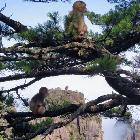 晓星咦