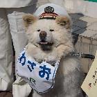 HM敢敢