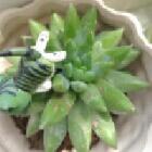 仙某人直播_仙某人直播间_仙某人直播间地址