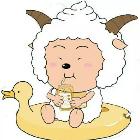 捕捉一只懶羊羊