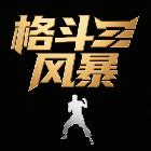 格斗風(fēng)暴