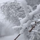 裂縫中的陽光丶