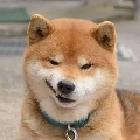 平平無奇丶袁小天