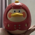 冠希所長