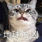 鲨鱼辣椒