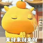 DT丶白白
