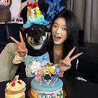 集夢茉莉【116】